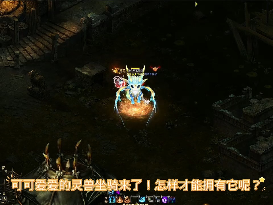可爱的灵兽，怎么成为坐骑？@伴