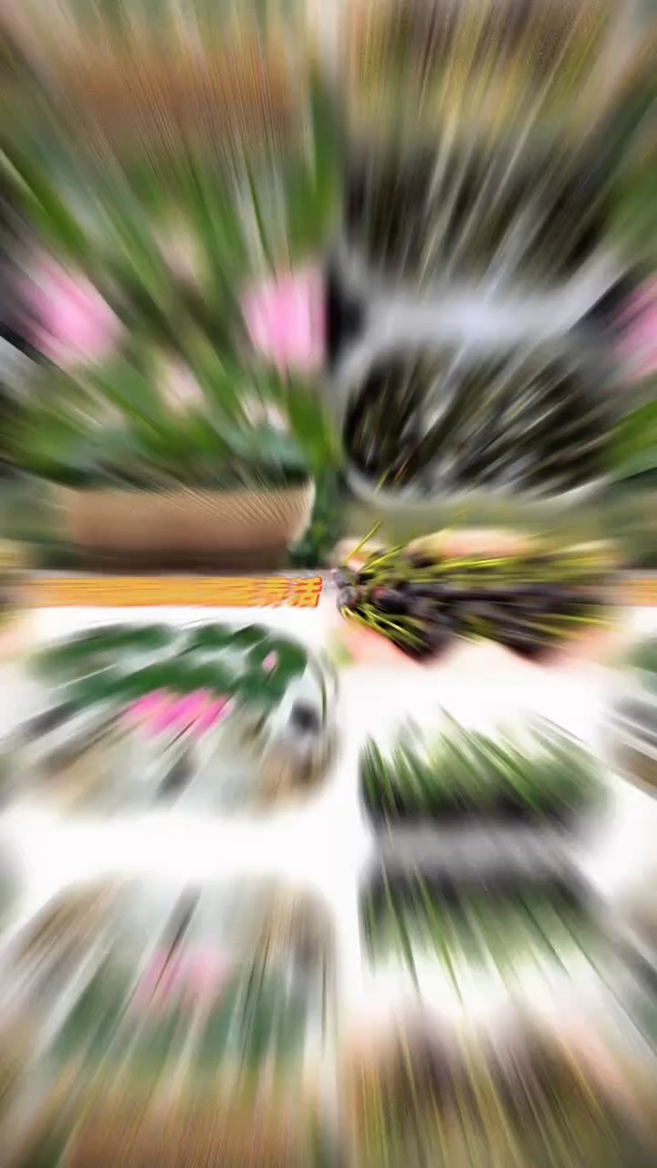 #魔域达人秀 #魔域 #花魁赛