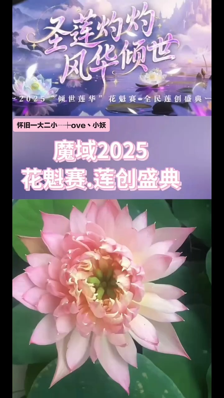 倾世莲华花魁赛  #魔域达人秀