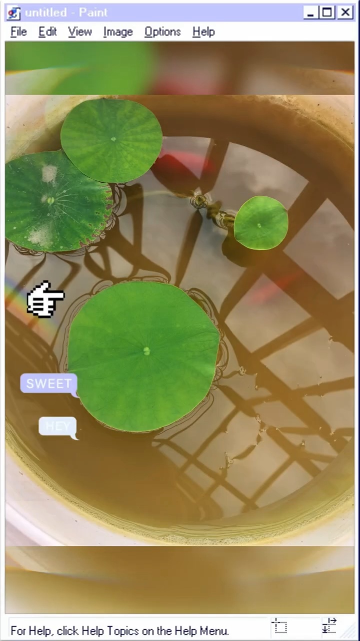 #魔域达人秀 我的荷花你快快长