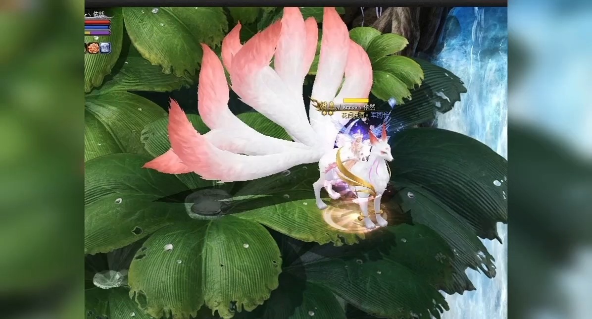 粉色的头像框真好看 #魔域达人