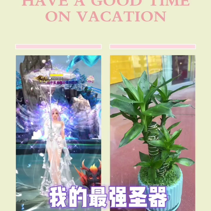 我的最强圣器——文昌竹 #魔域