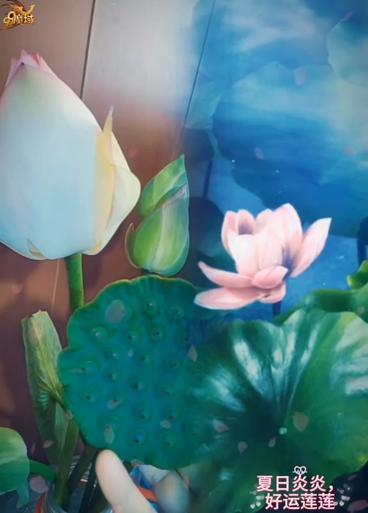 云汀幻彩圣莲开，伞下花魁慕此爱