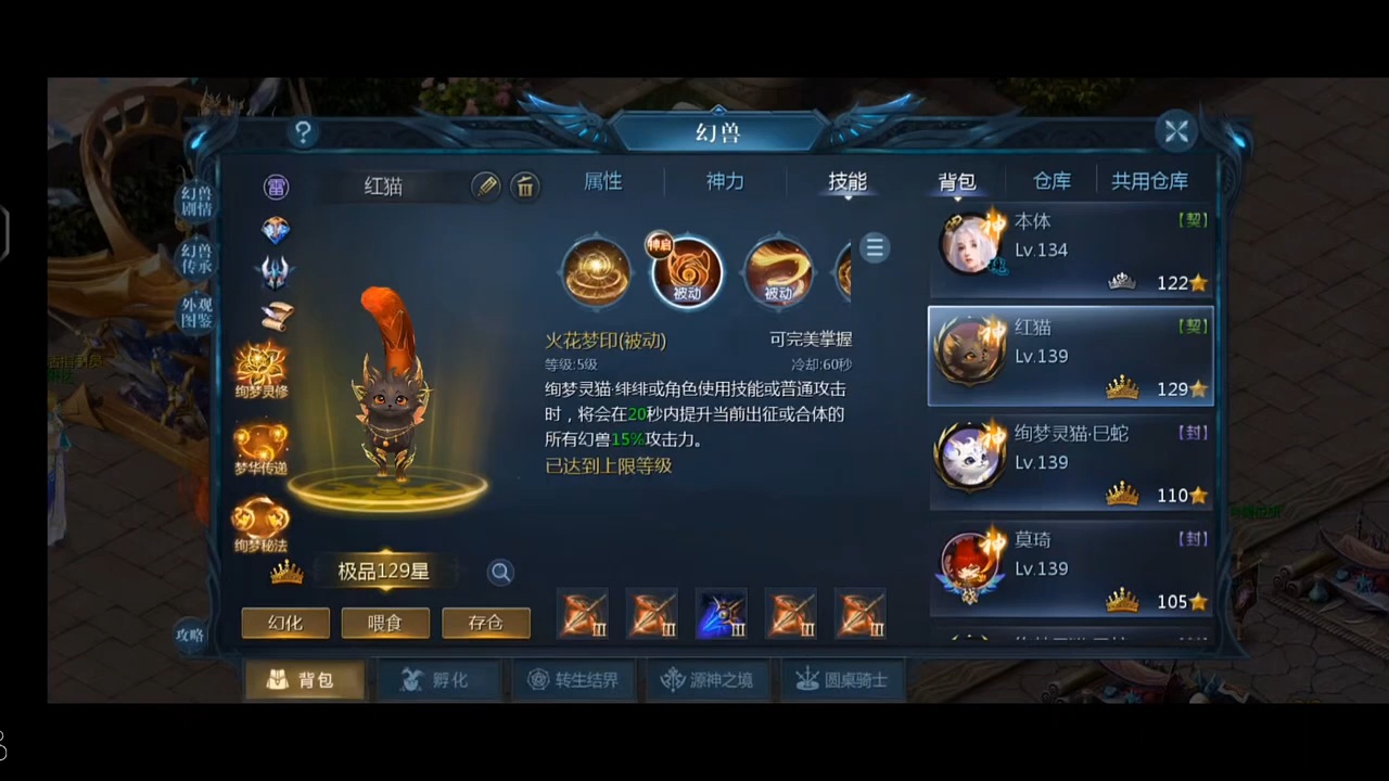 三代猫该什么时候转，蓝猫紫猫到