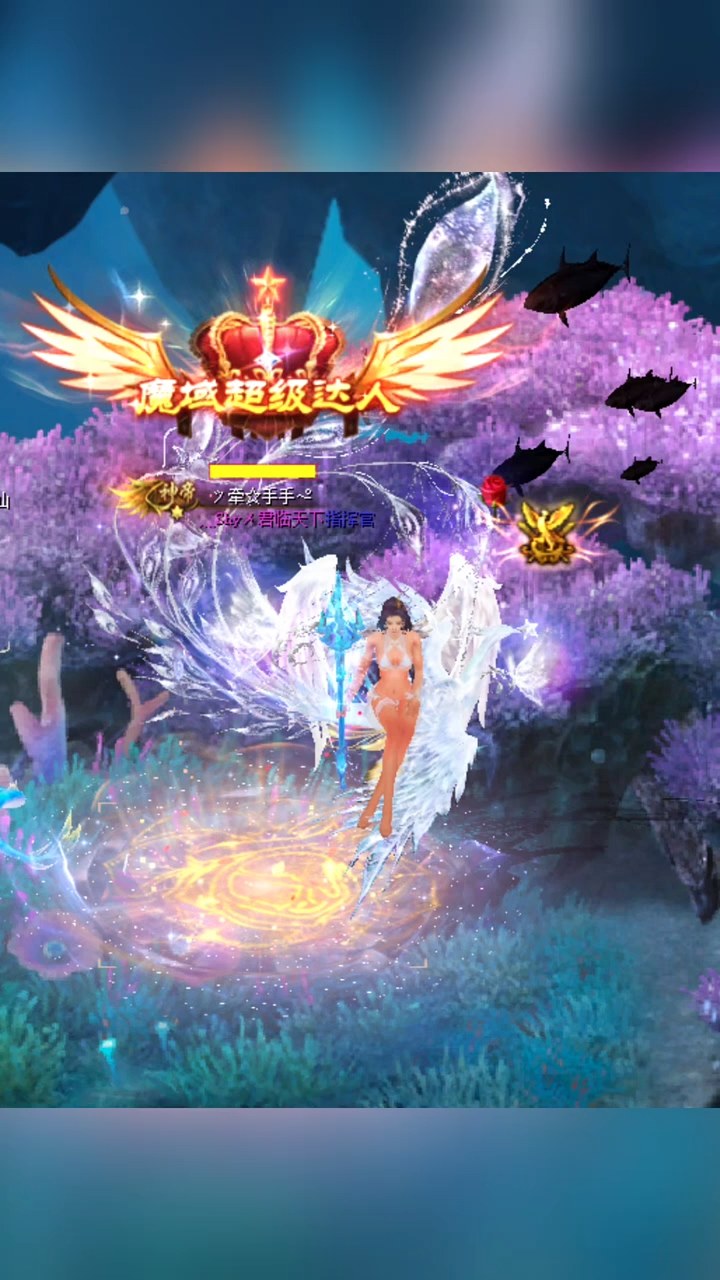 任务做完后的闲暇时光，总是喜欢