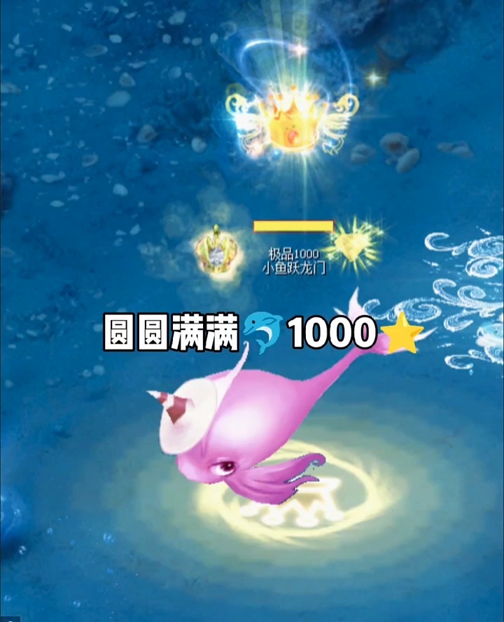 十年造梦，小鱼圆圆满满1000