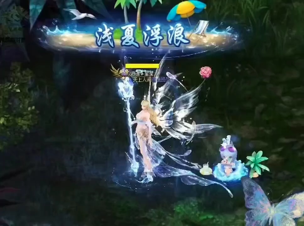 先锋区的星宝？还是安徽一区星宝