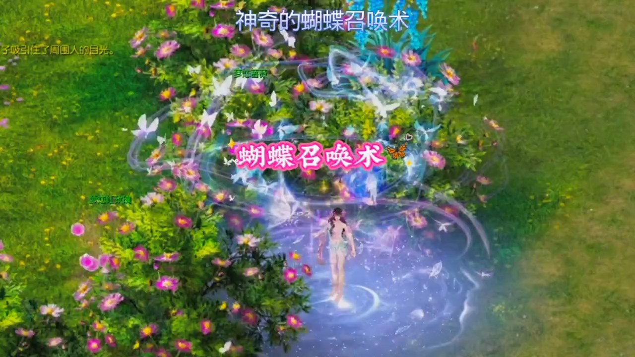 蝴蝶召唤术，是不是很神奇呀，挂