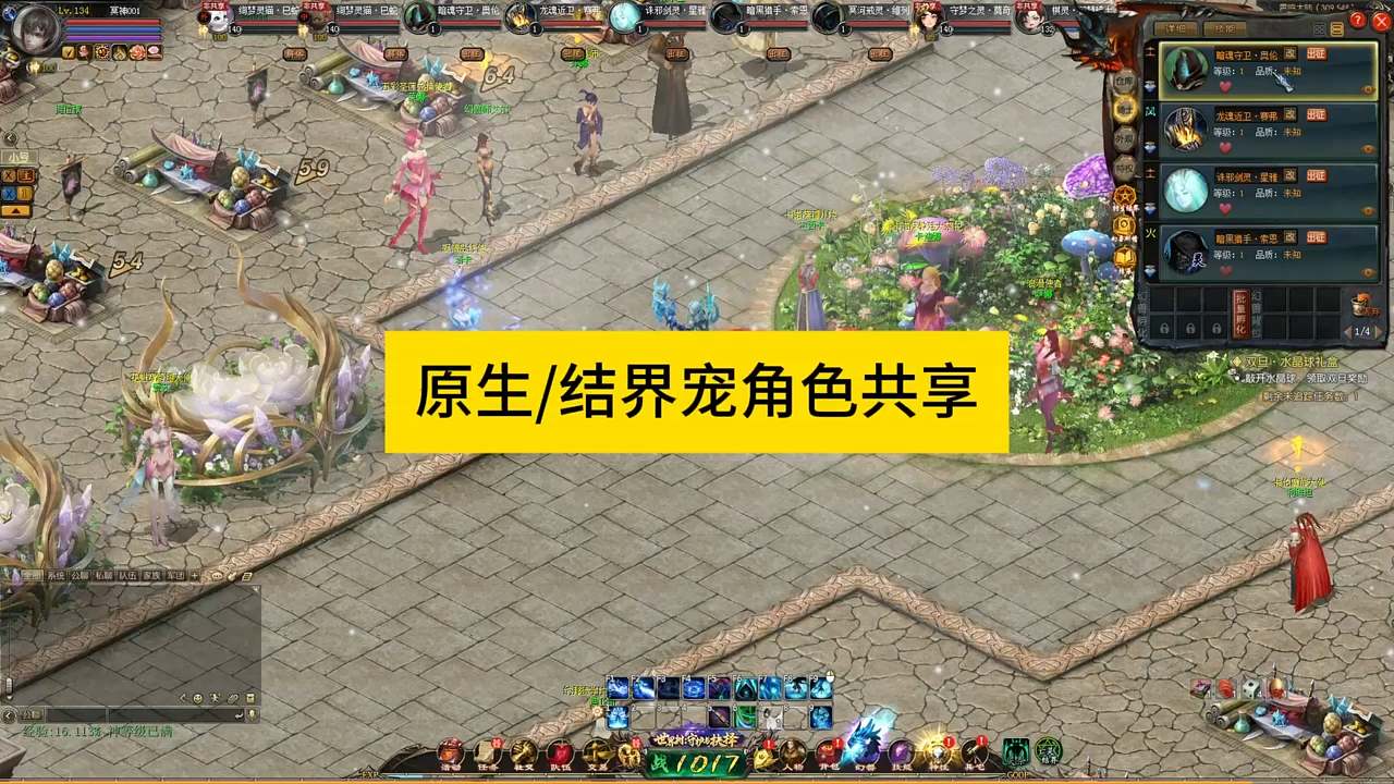 本体职业的原生宠和亡灵结界宠角