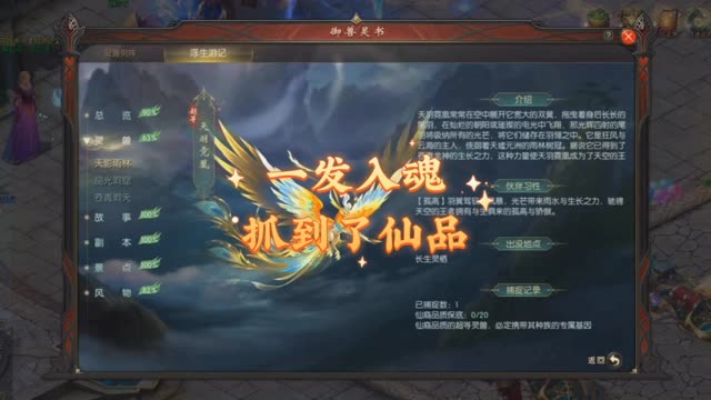 《一发入魂抓到了仙品》内小号运