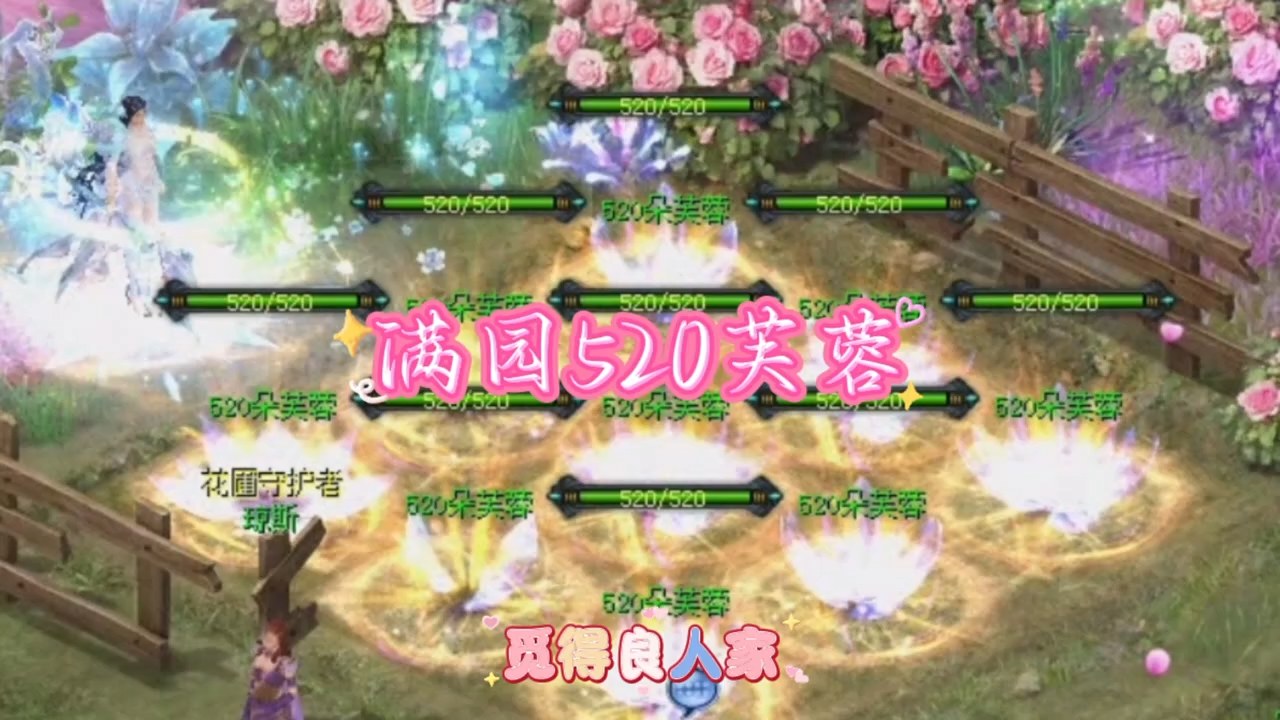 满园520芙蓉花，觅得良人家!